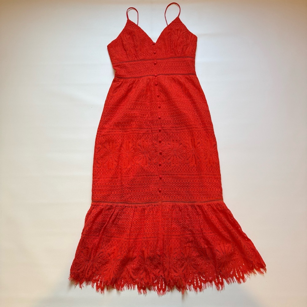 Nwt! Dee Elly Elegant Orange Red Lace Dress sz Small